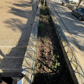 468410633_454250664380525_662500961240275479_n