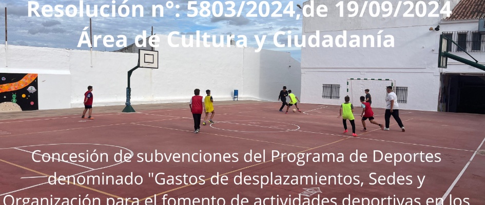 Imagen de WhatsApp 2024-10-22 a las 10.44.39_f52561ec